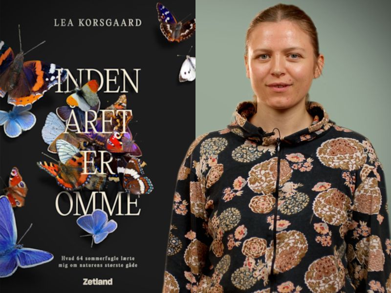 Bibliotekets litteraturformidler Kirsten foran bogen "Inden året er omme"