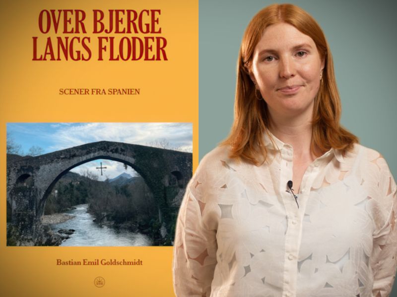 Bibliotekets litteraturformidler Mette foran bogen "Over bjerge langs floder"