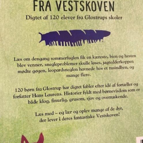 Bagsidetekst
