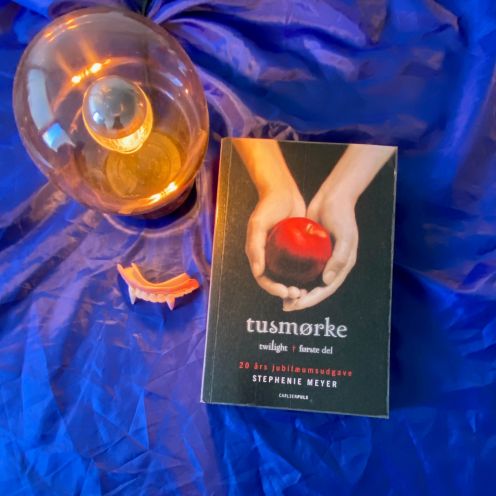Tusmørke Book Bento